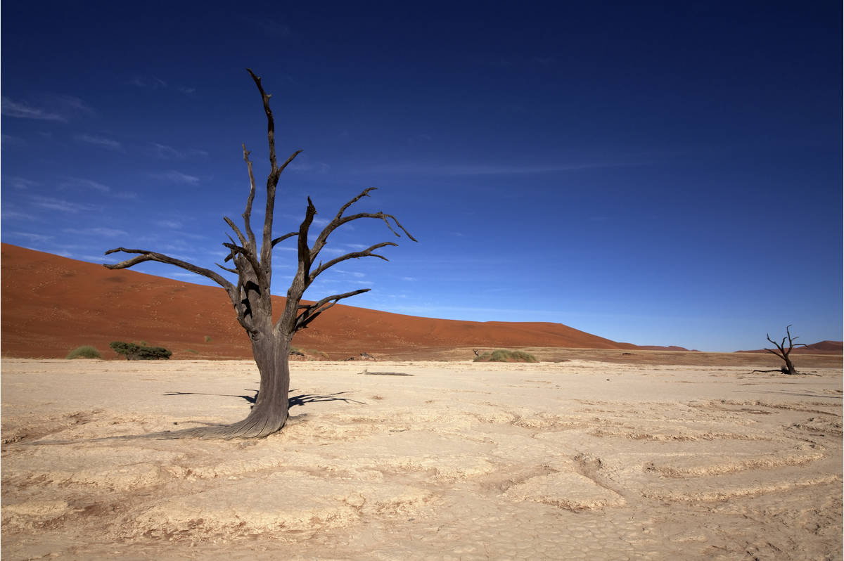 Namibie0807