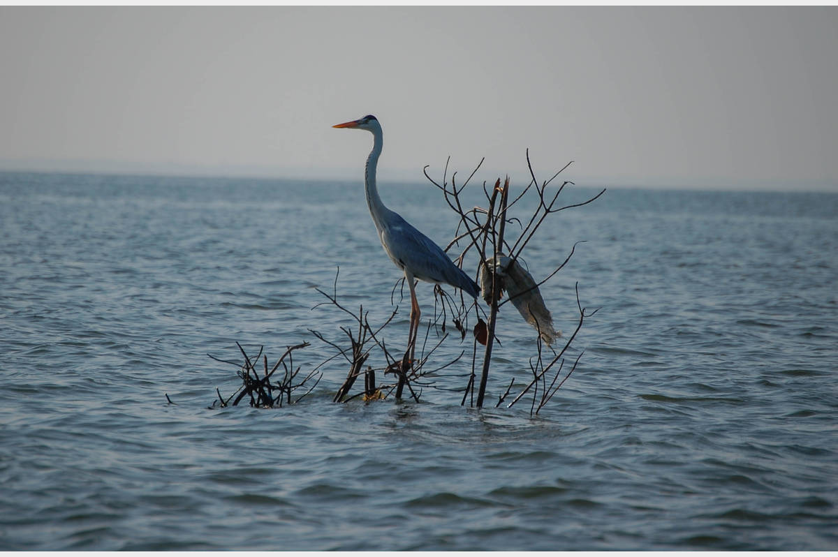 Sri lanka 2 1