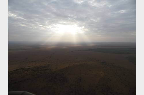 Zonsopgang ballonvlucht serengeti