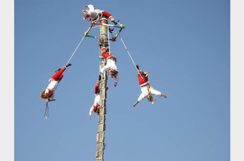 Voladores  tussen hemel en aarde.