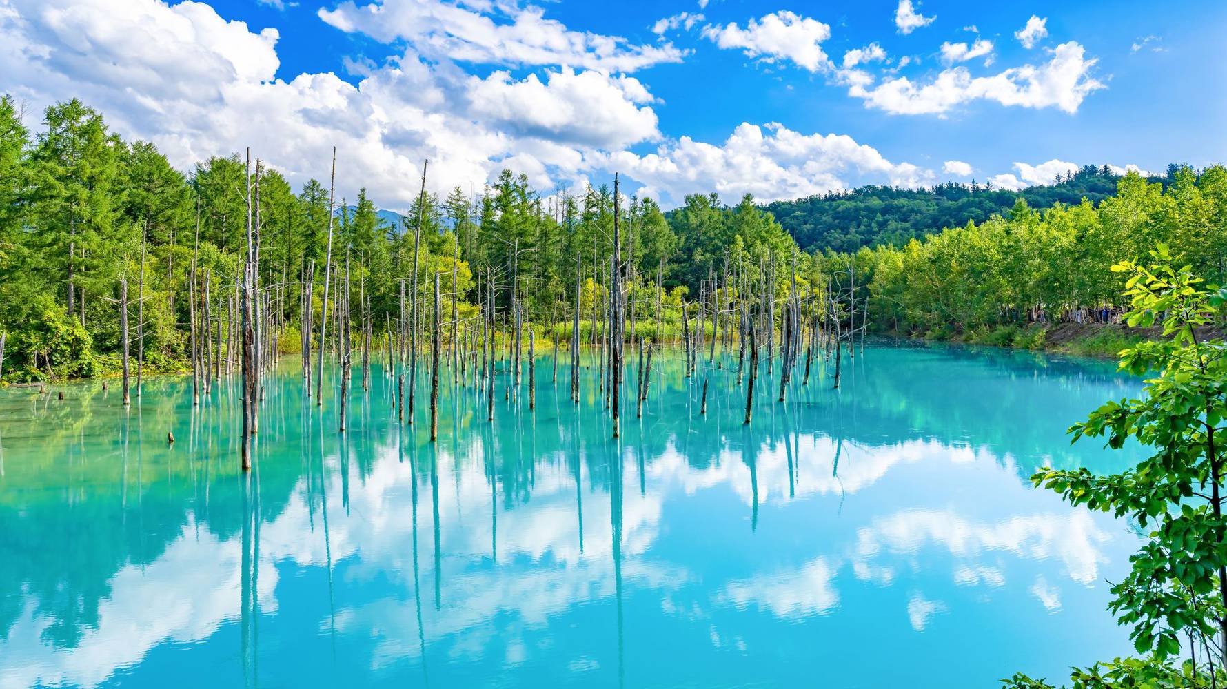 shutterstock_2402470345_Aoi-Ike_Blue_Pond_L