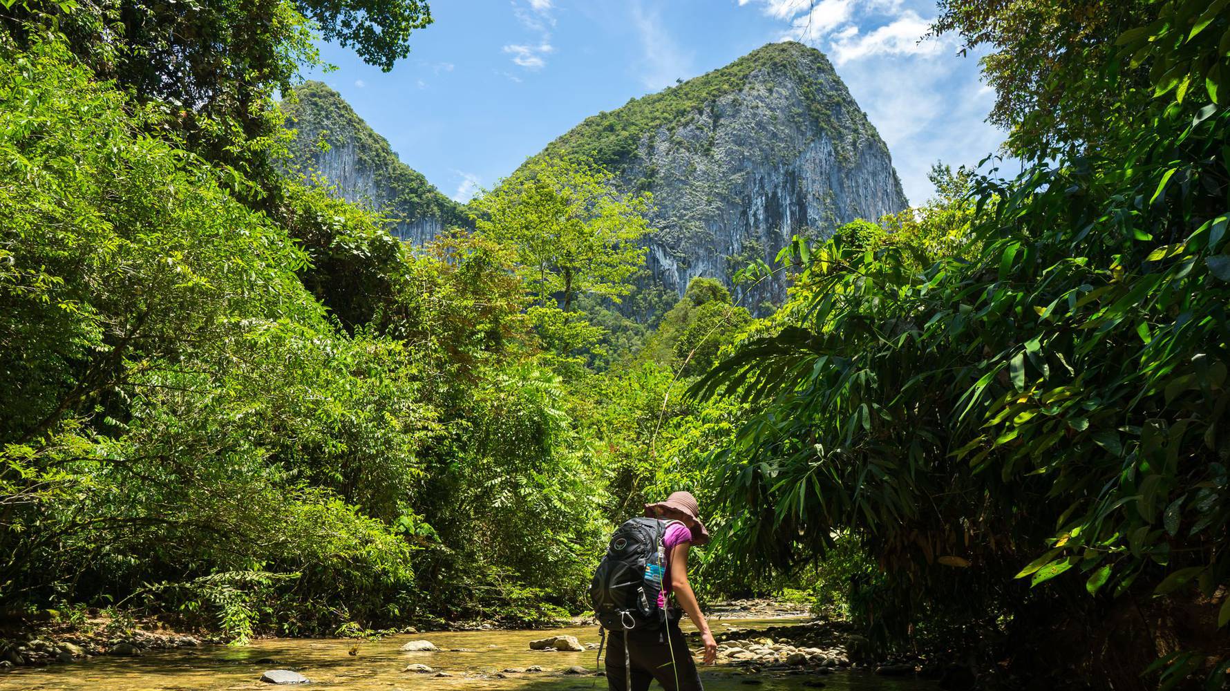 Mulu_National_Park_-_shutterstock_544624186