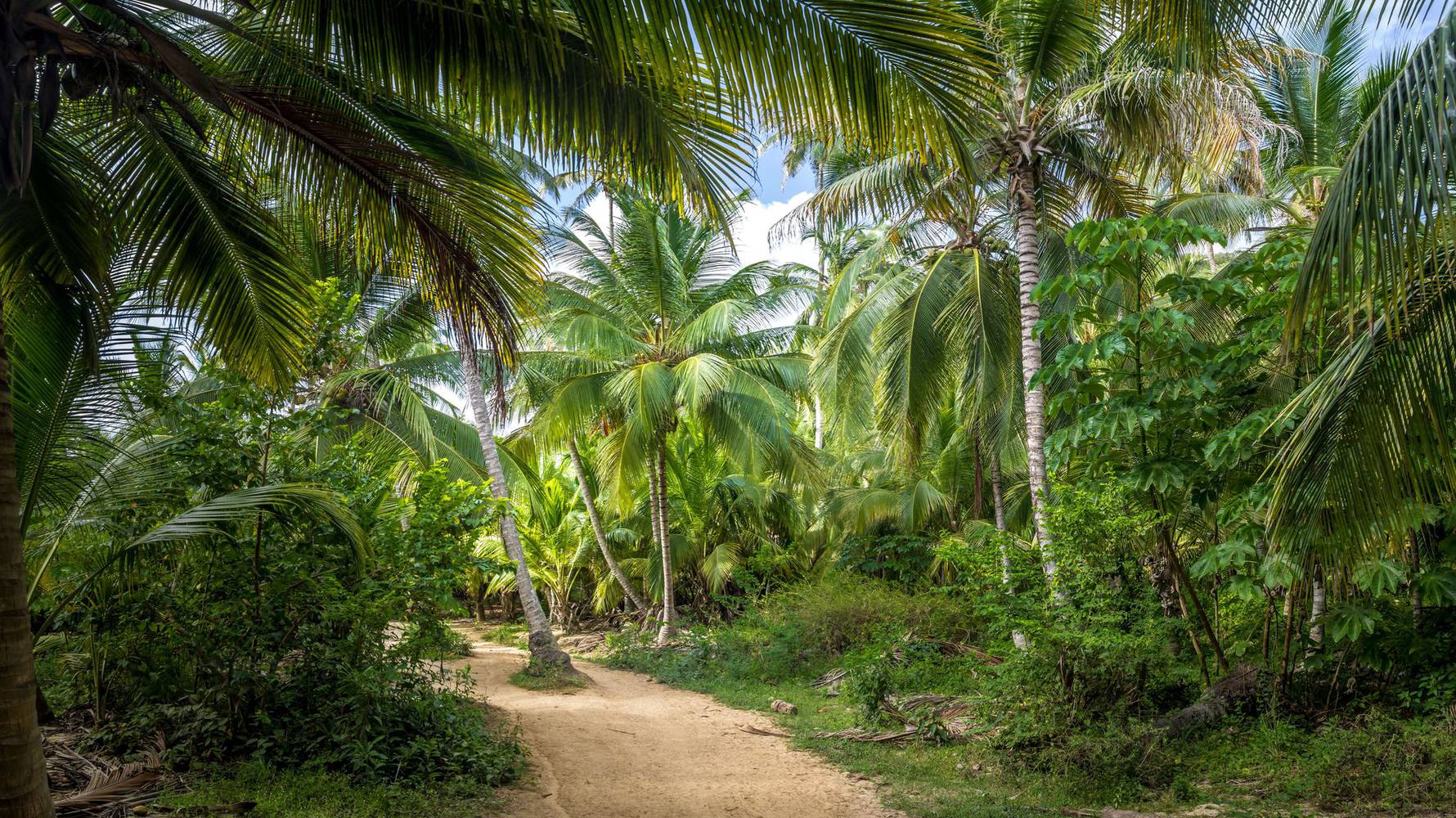 Tayrona_NP_website