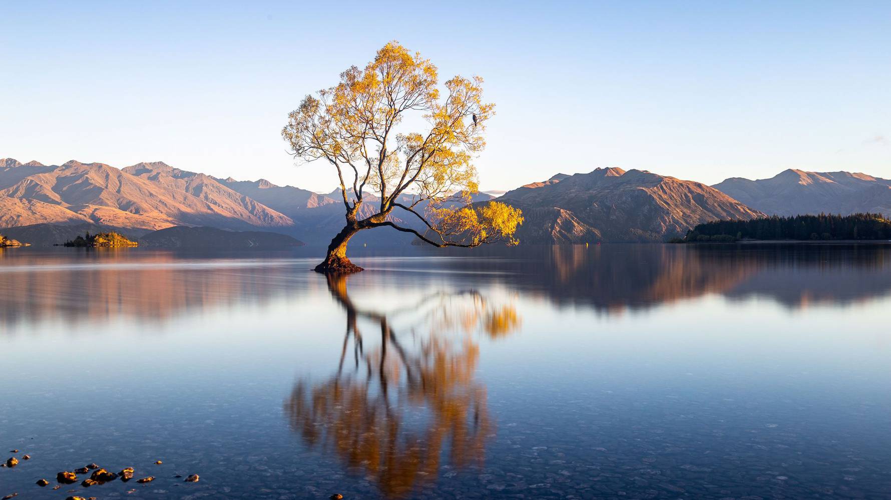 dag_13_shutterstock_2287991069_Wanaka_website