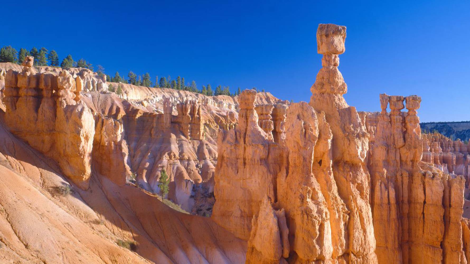 Dag_8_shutterstock_103189982_Bryce_Canyon_website