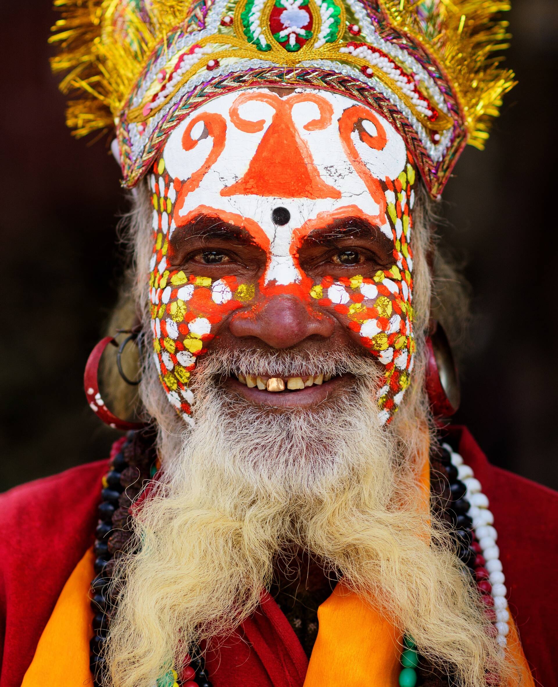 shutterstock_792837958_L_Sadhu