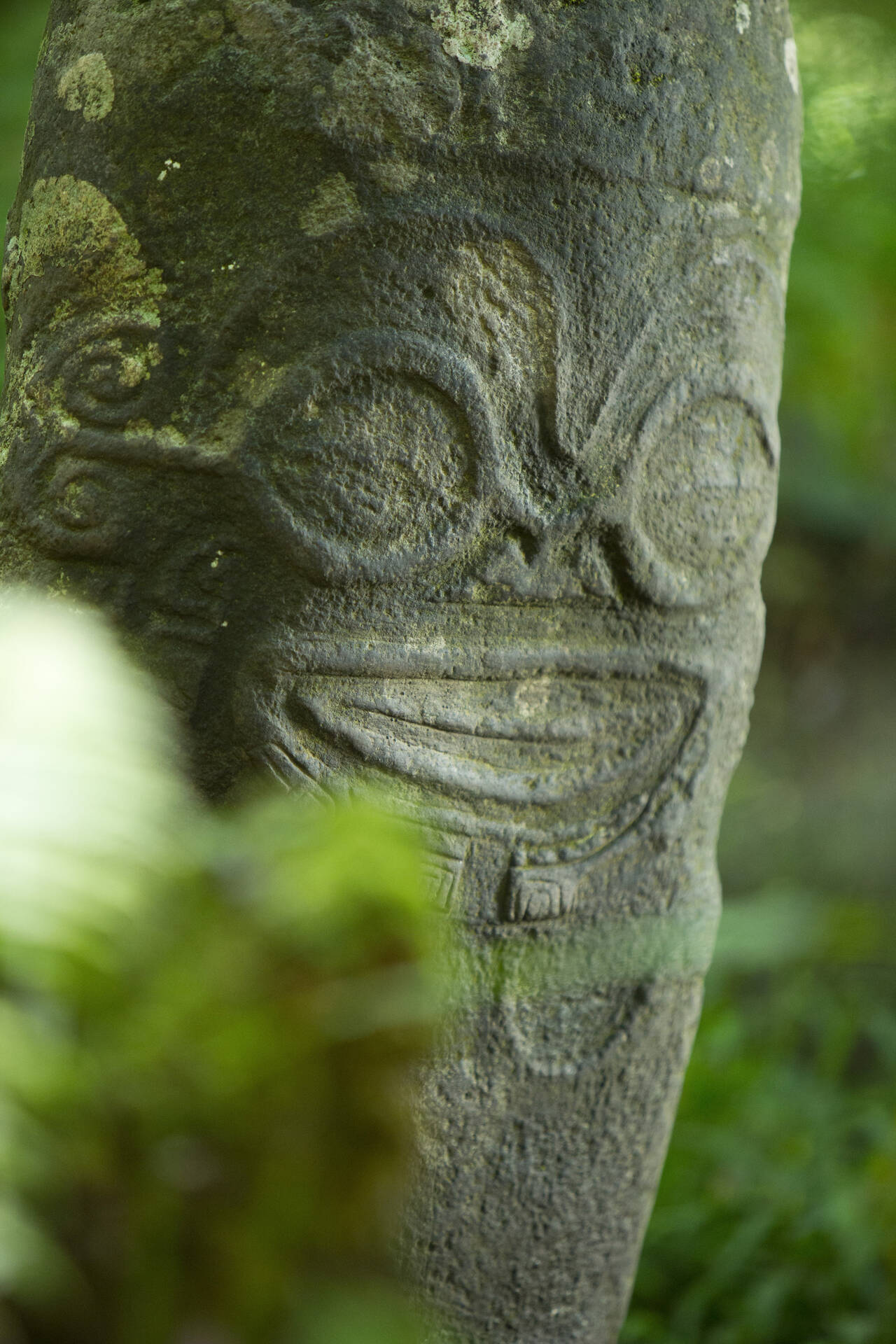 pagina_65_P2_12_HIVA_OA_00417-3840x5760