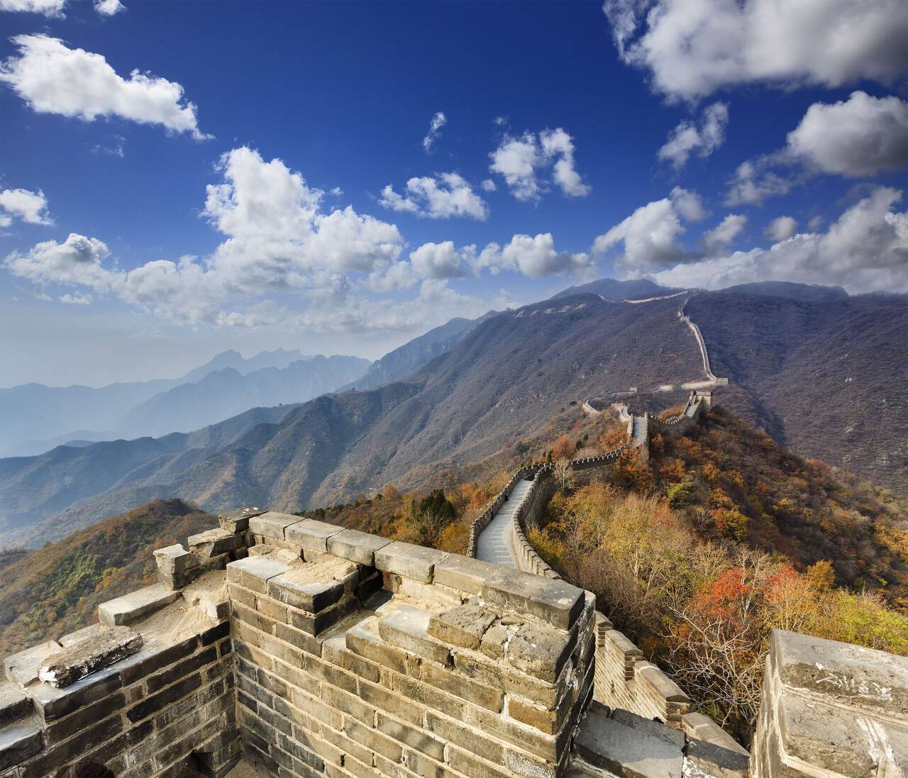 shutterstock_269743373_L
