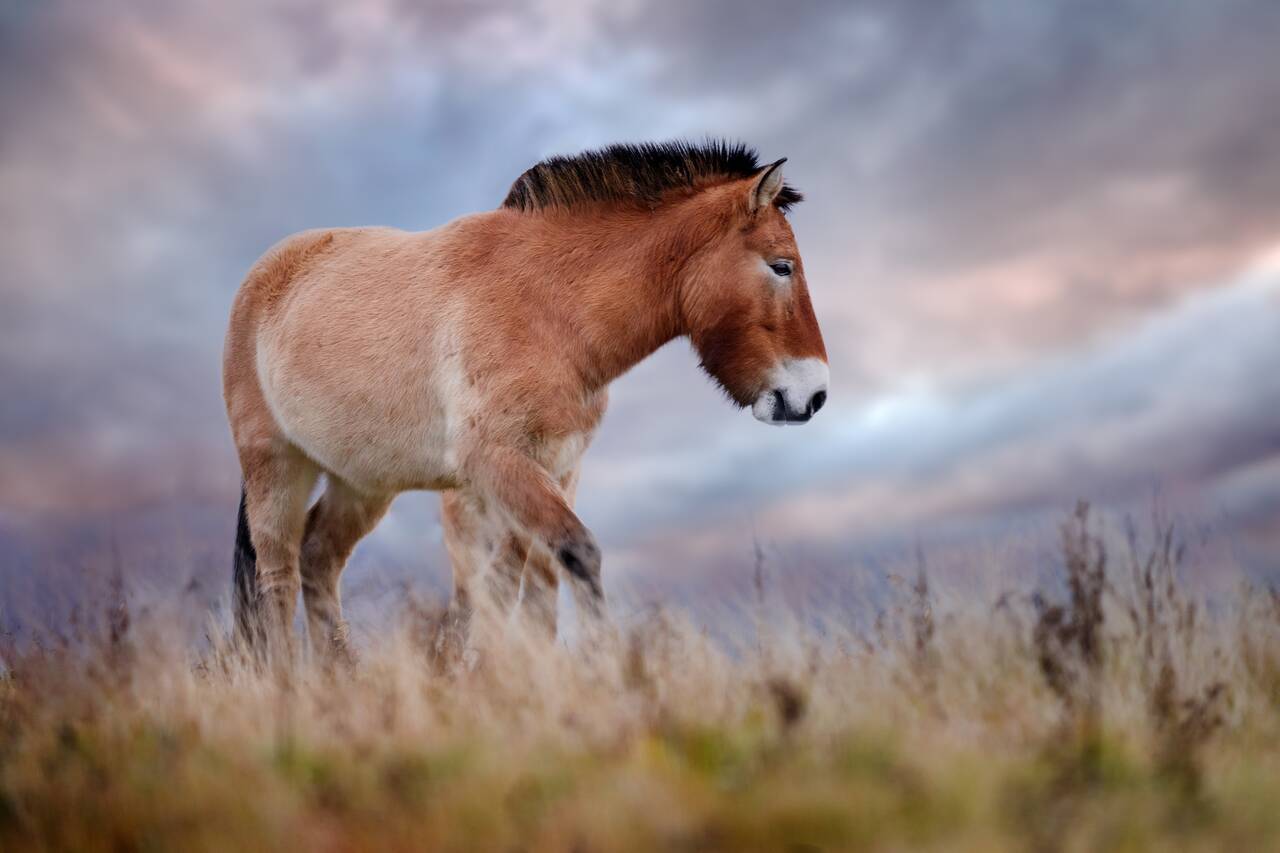shutterstock_2088069733
