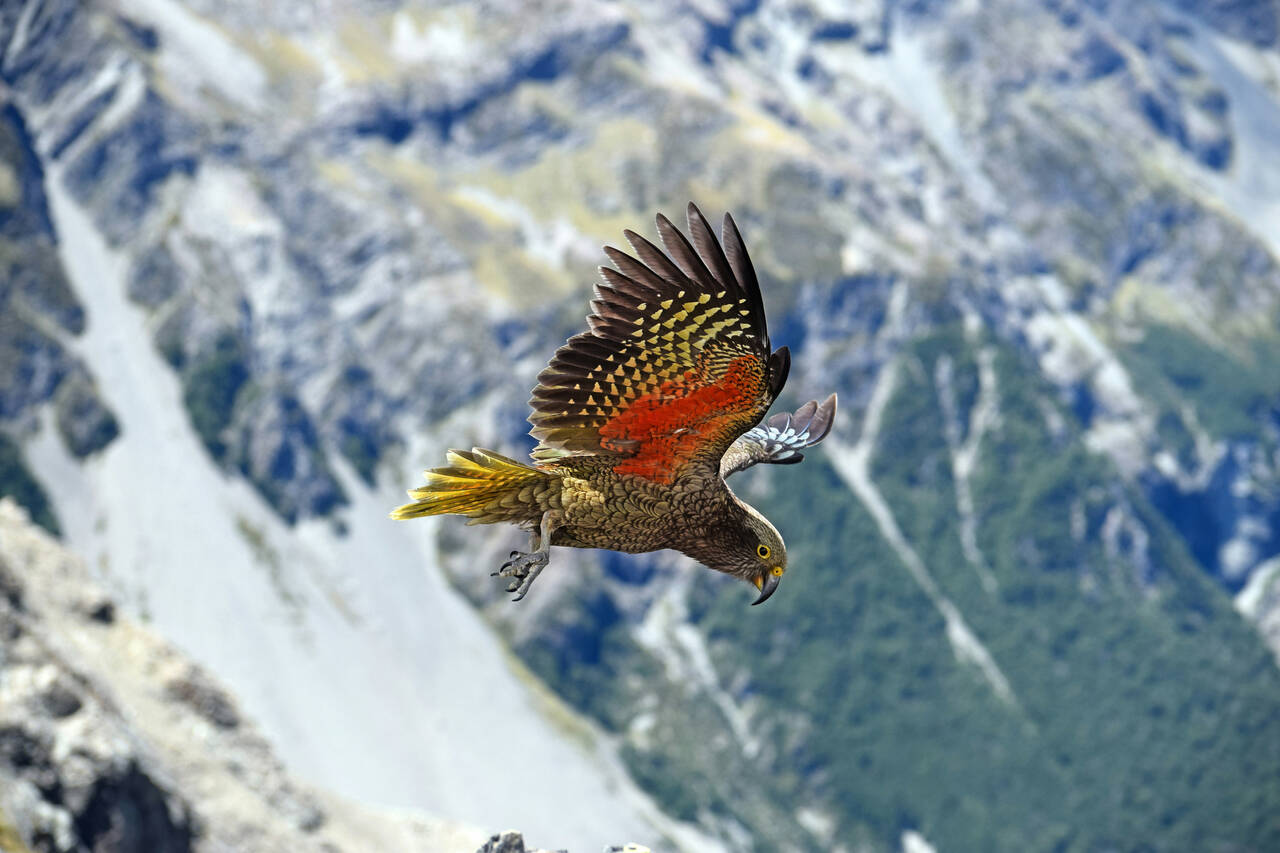 karl-anderson-PYVpFcGF0Ss-unsplash