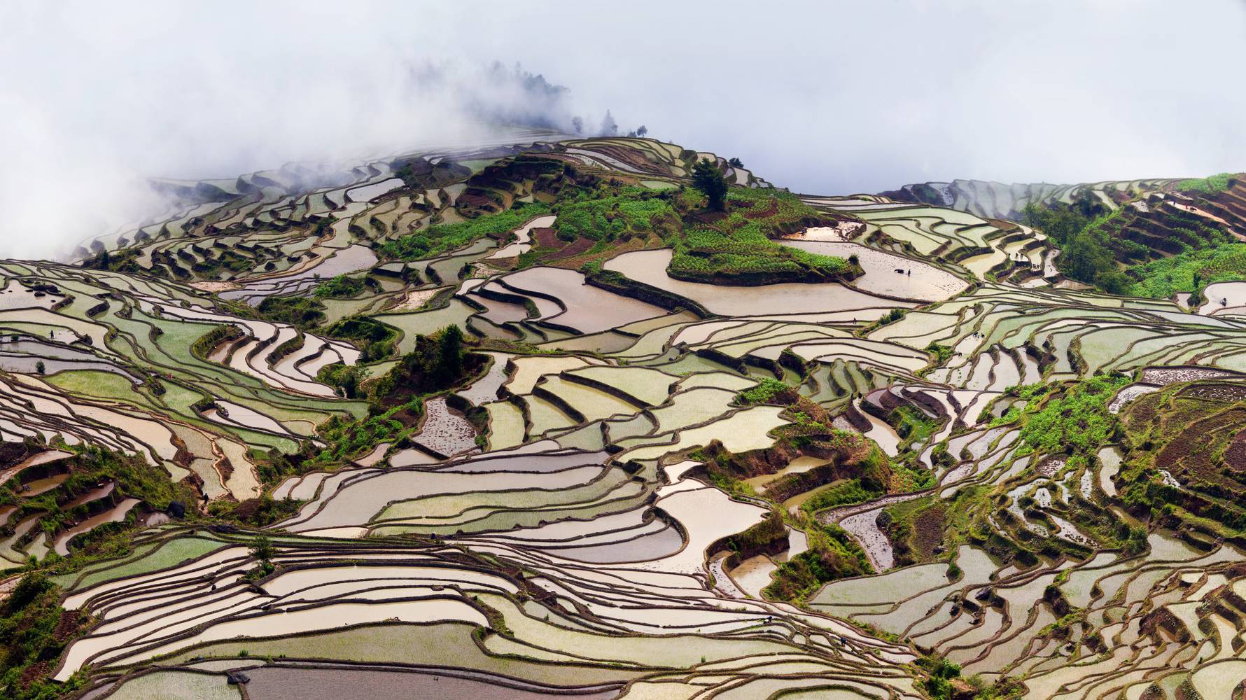 Honghe Hani rijstterrassen in China anders dan anders blog