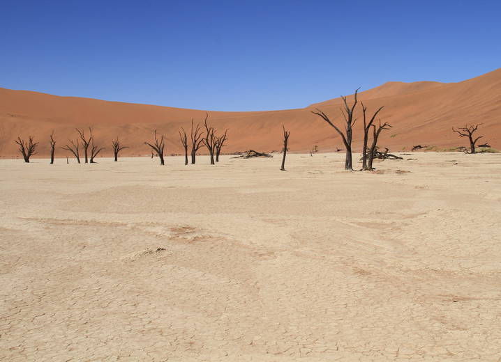 Namibië - 2013