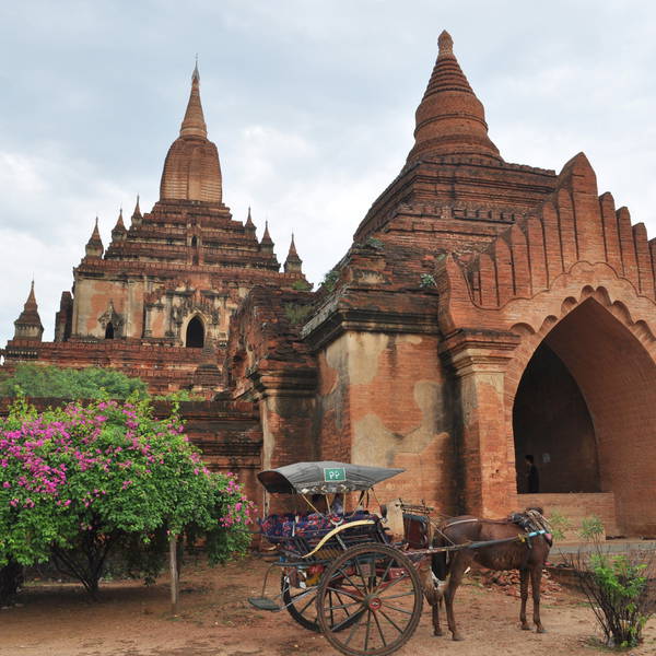 Myanmar 2010 (566)