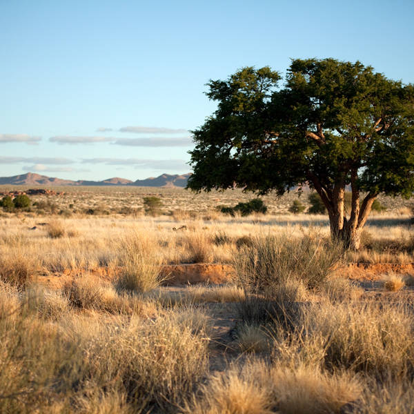 Namibi%c3%ab1046   avondwandeling naar de ca%c3%b1on lodge   omgeving