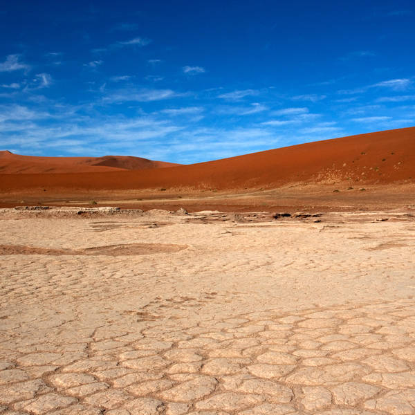 Namibi%c3%ab0804   deadvlei   omgeving