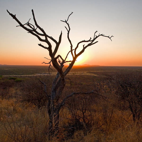 Namibi%c3%ab0150   frans indongo bushwandeling   zonsondergang