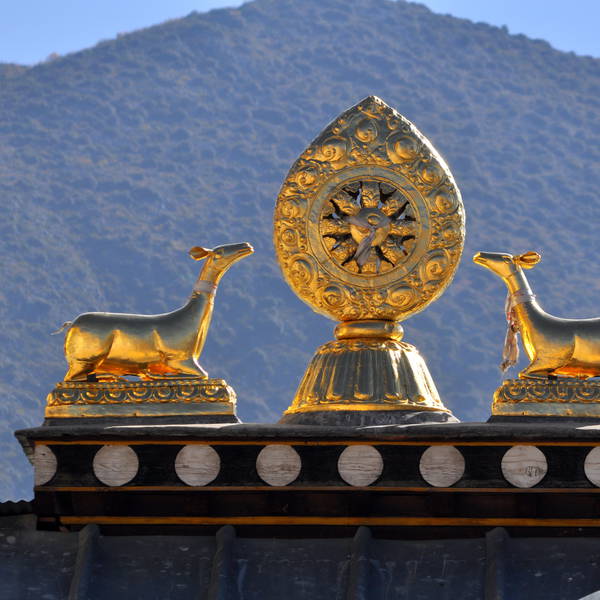 Shangri la tibetaans klooster 20141023 017