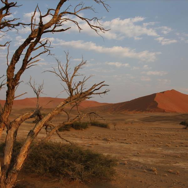 2015 namibie (203)