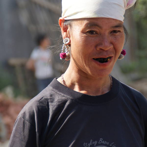 Vietnam 2010 216