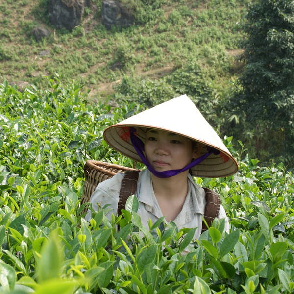 Vietnam 2010 257
