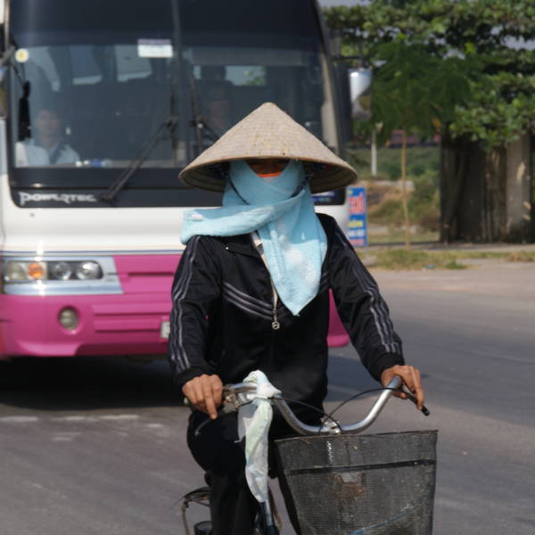 Vietnam 2010 683