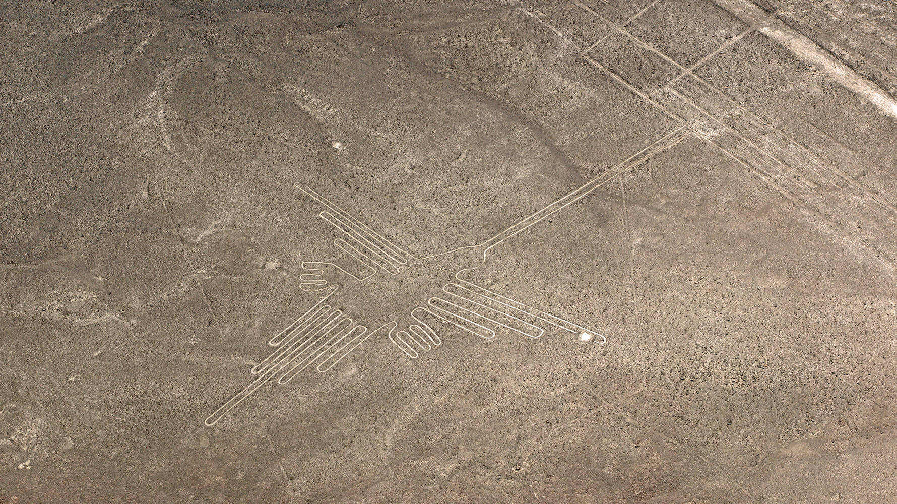 De Nazca-figuren