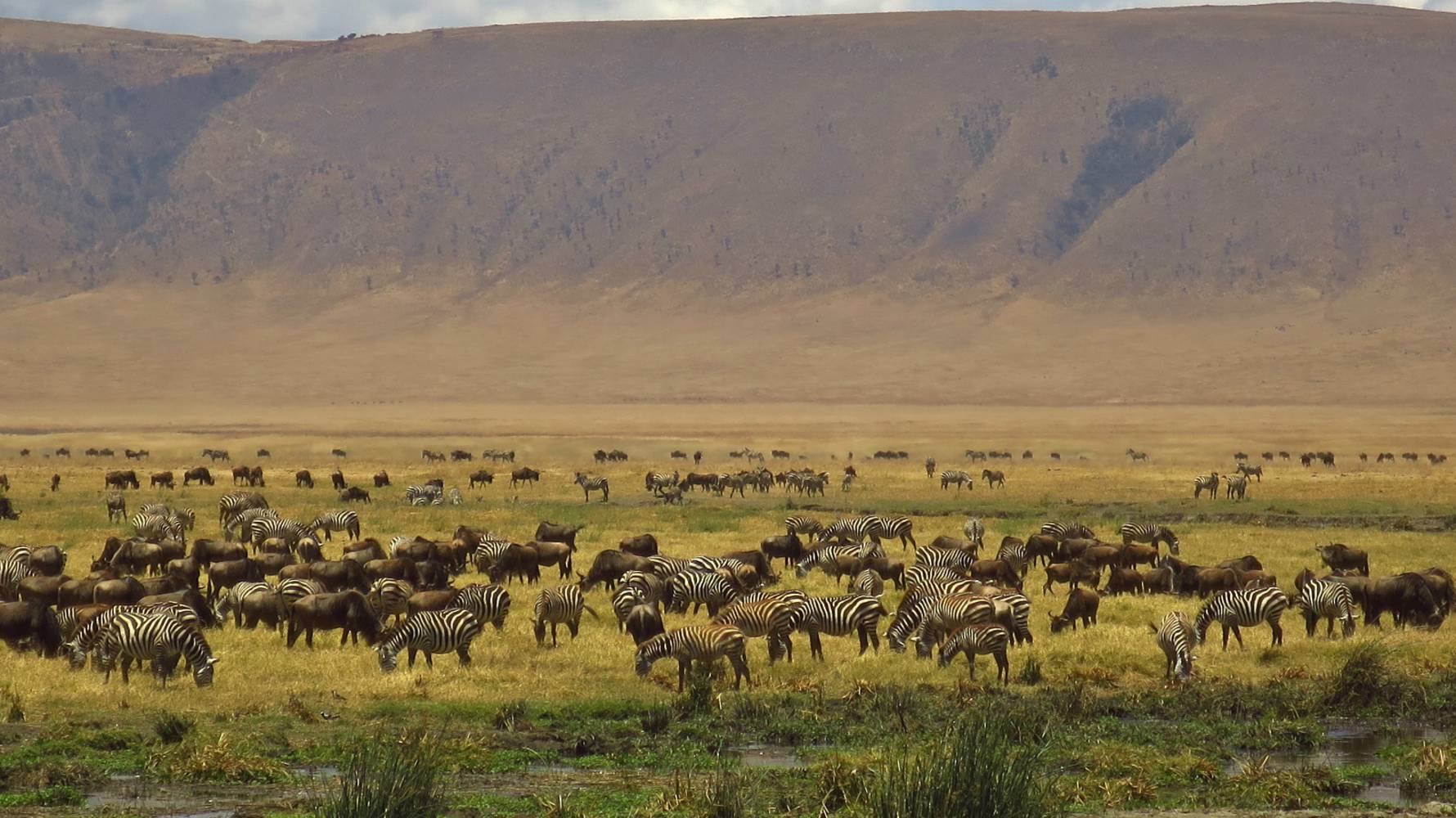 Dag 8 – 5/11 zaterdag – Ngorongoro Conservation Area.