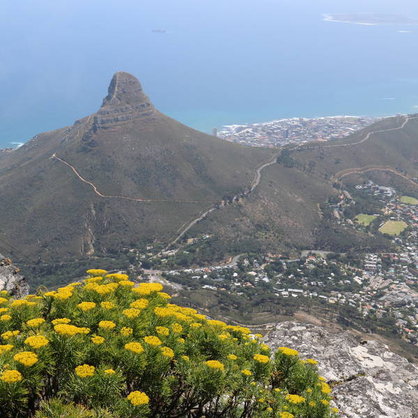 1253 kaapstad vanop de tafelberg  op de achtergrond robbeneiland