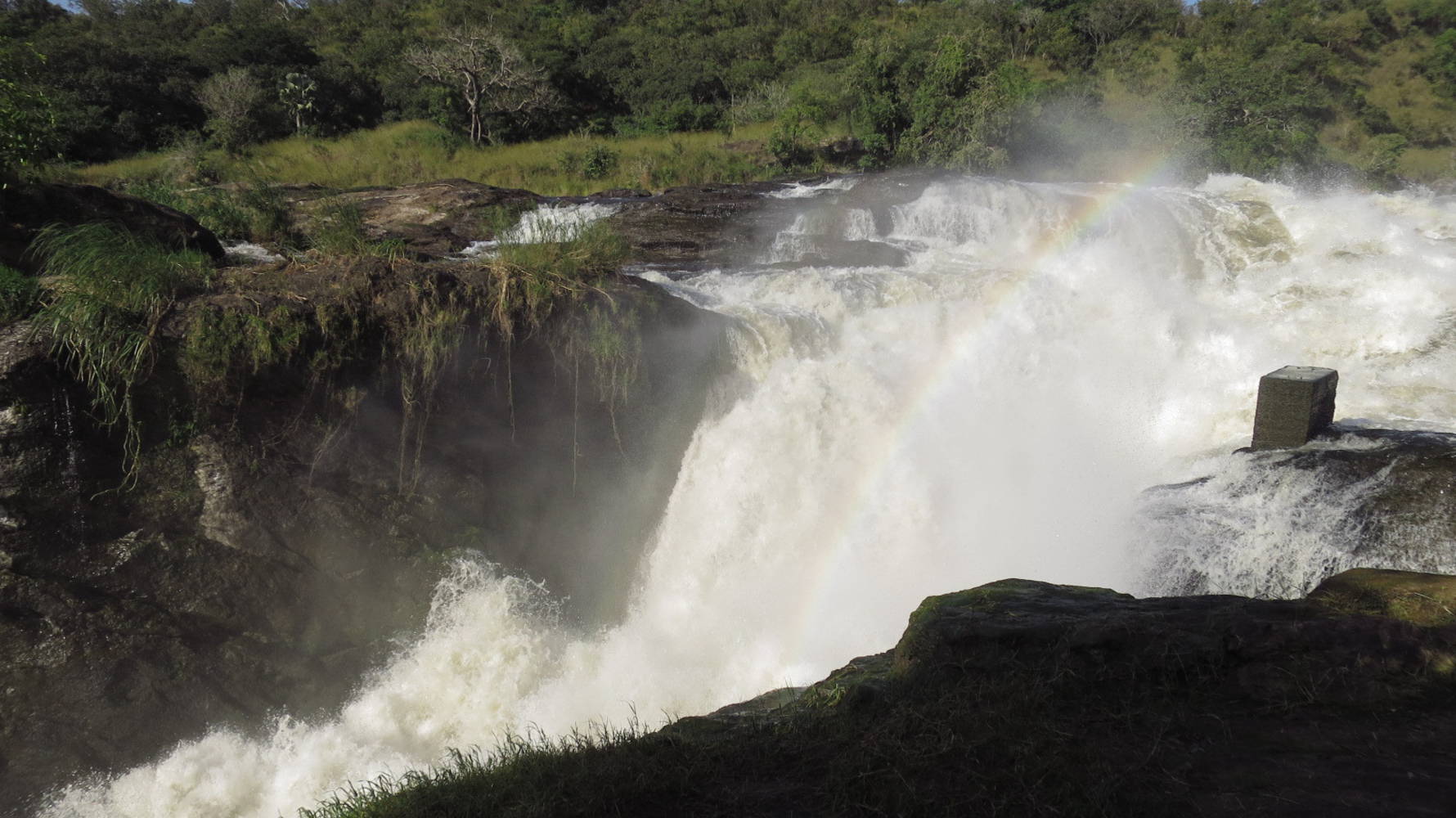Dag 2 – 25/11 zondag – Entebbe – Murchison Falls National Park.